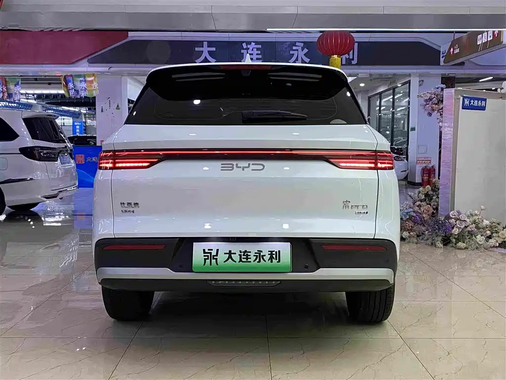 BYD Pro New Energy — миниатюра 16