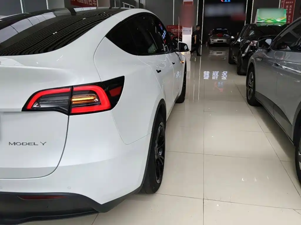Tesla Model Y — миниатюра 8
