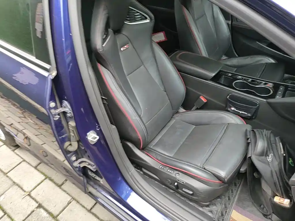 Buick Regal — миниатюра 25