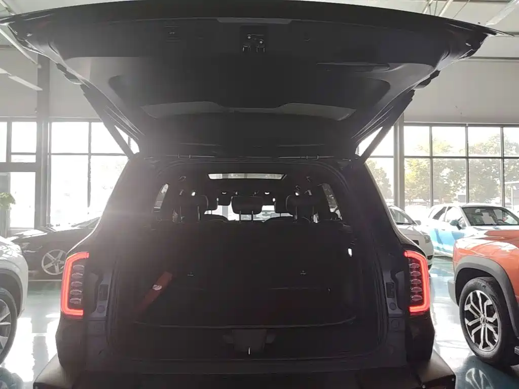 Haval Big Dog — миниатюра 19