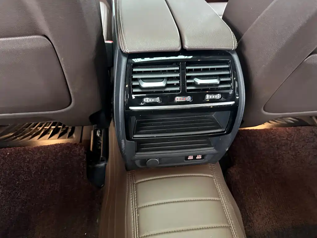 BMW 5 Series 5 2021 530Li Lead Luxury