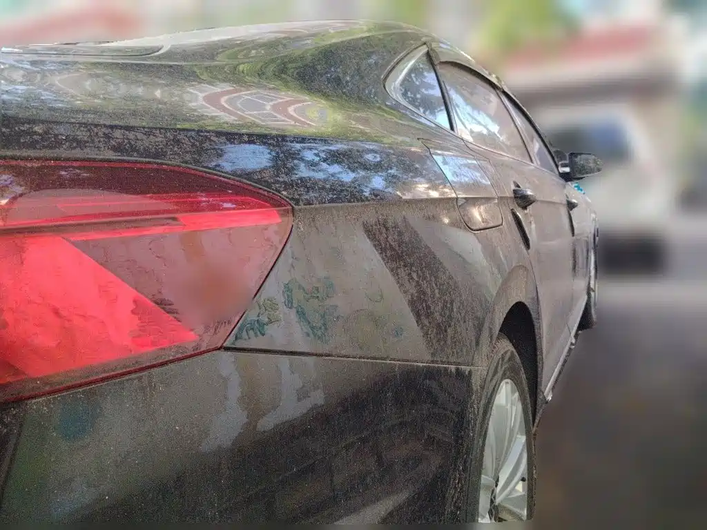 Volkswagen Passat — миниатюра 6