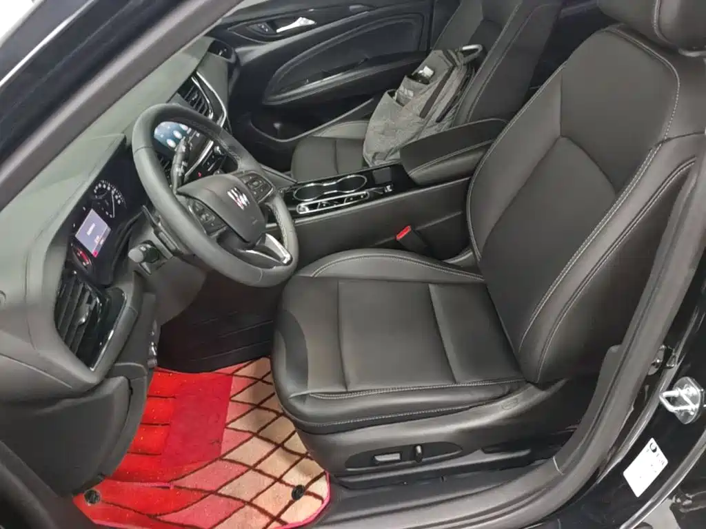 Buick Regal — миниатюра 15