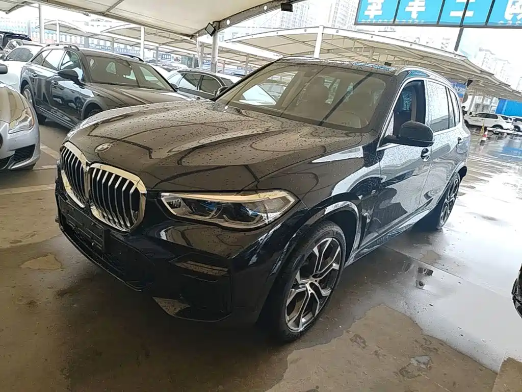 BMW X5 — миниатюра 2