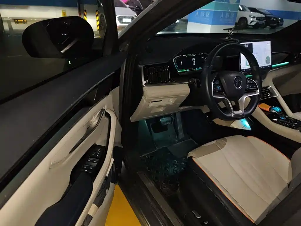 BYD PLUS New Energy — миниатюра 12