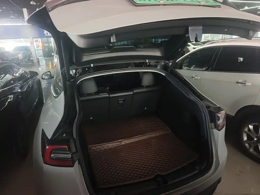 Tesla Model Y — миниатюра 10
