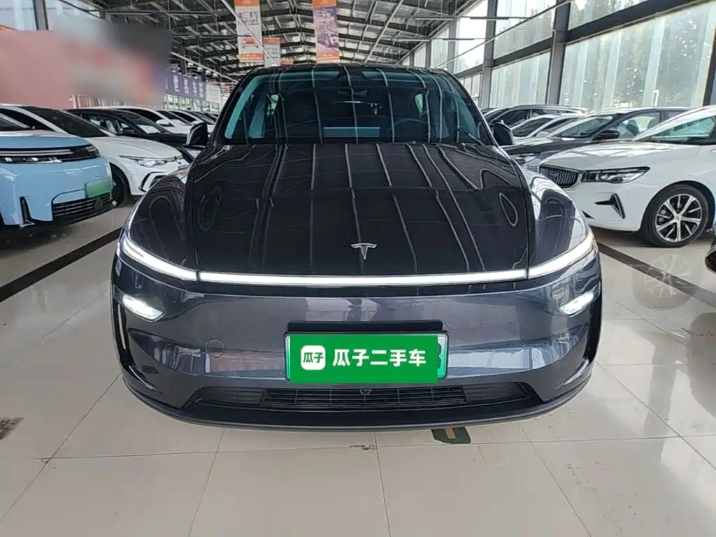 Tesla Model Y — миниатюра 3