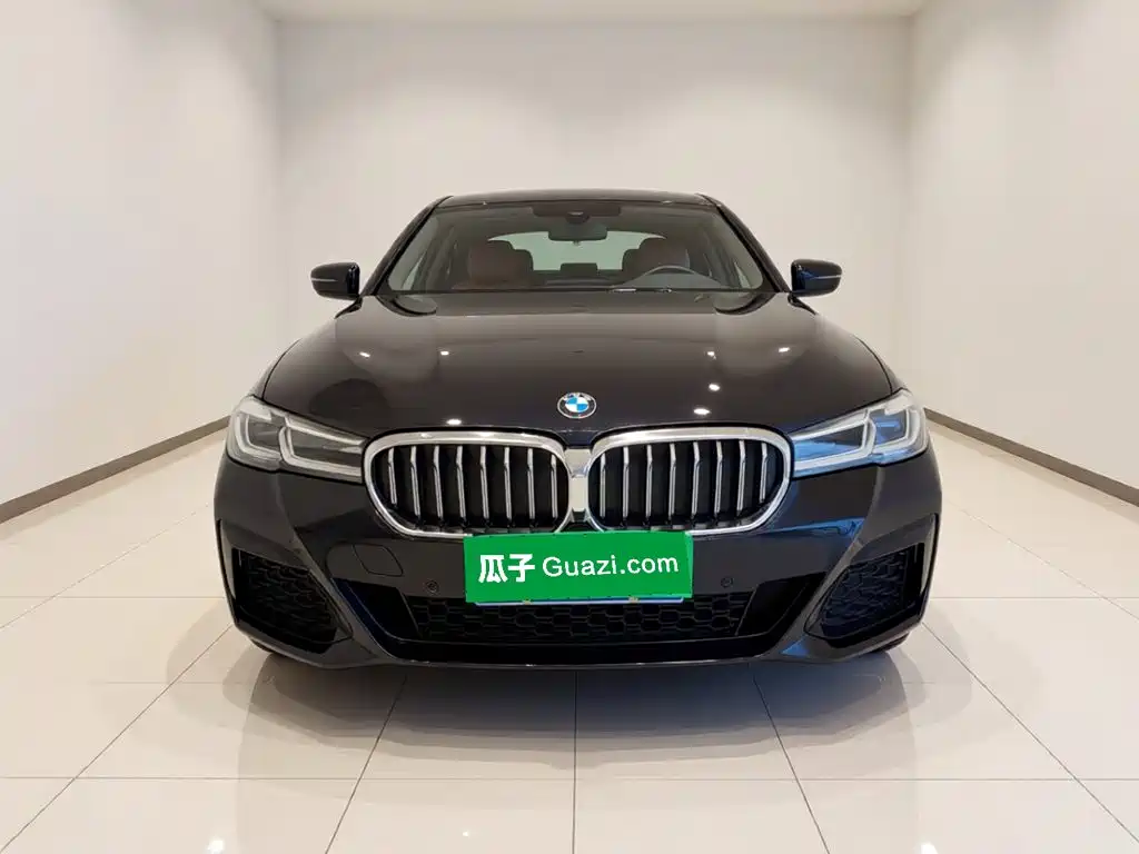 BMW 5 Series — миниатюра 2