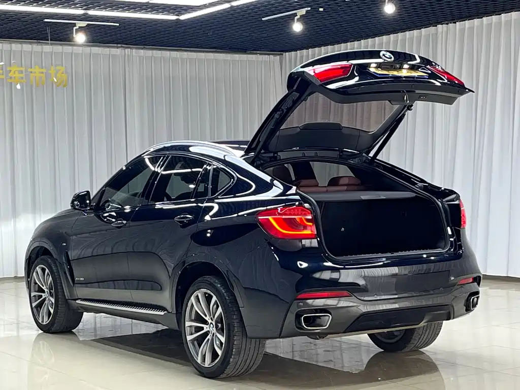 BMW X6 — миниатюра 8