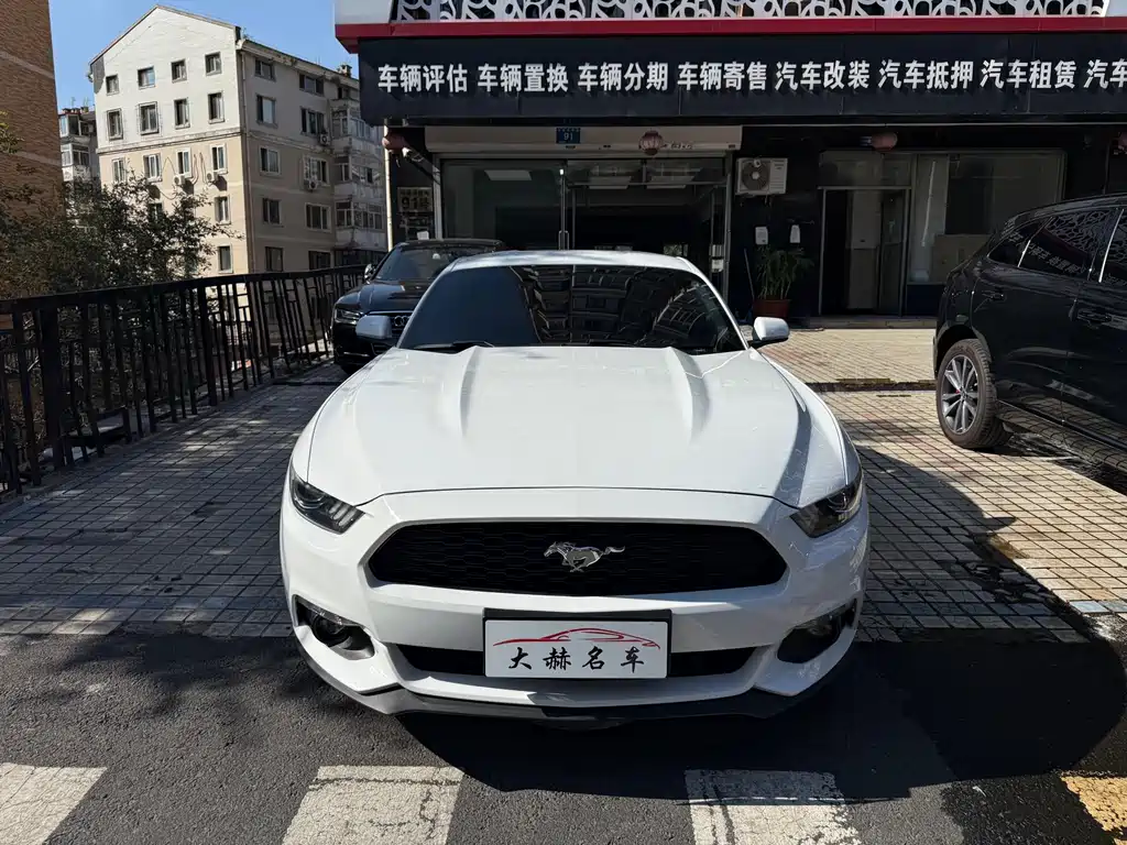 Ford Mustang — миниатюра 2