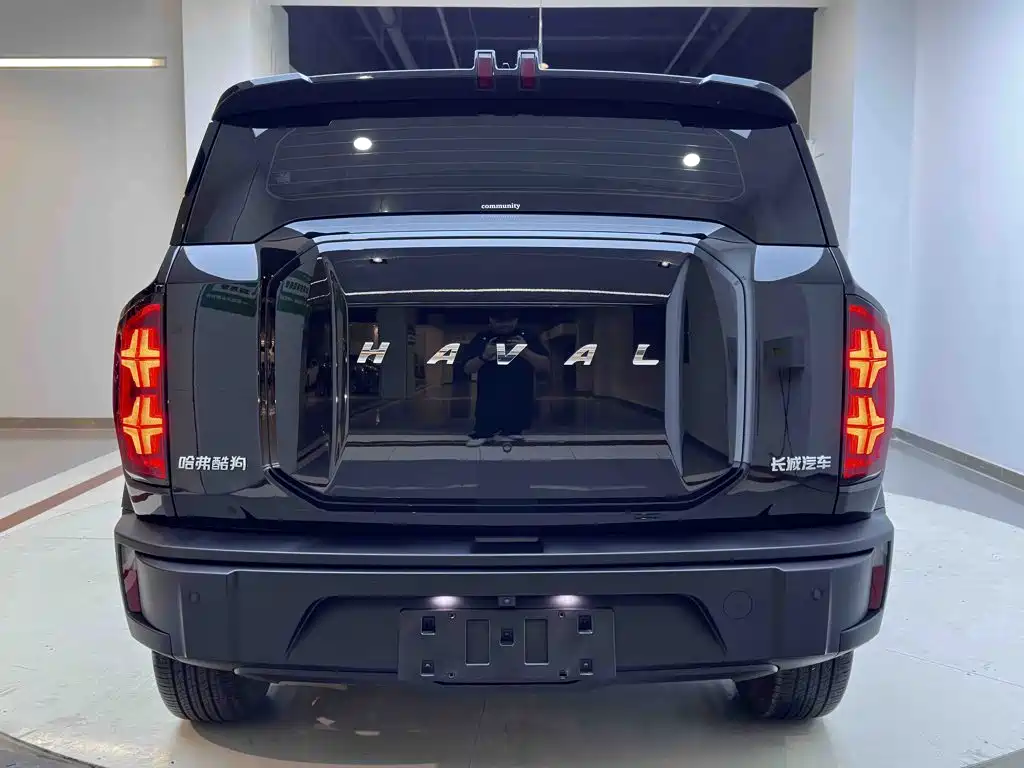 Haval Cool Dog — миниатюра 5