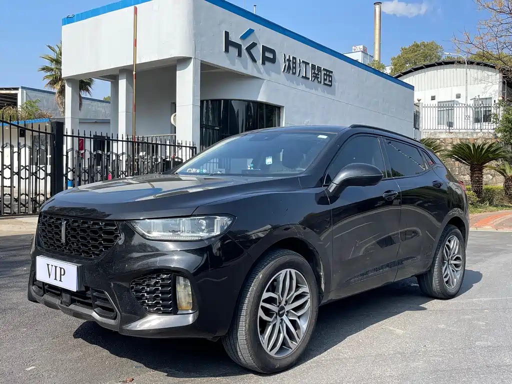 WEI PAI WEI BRAND VV5