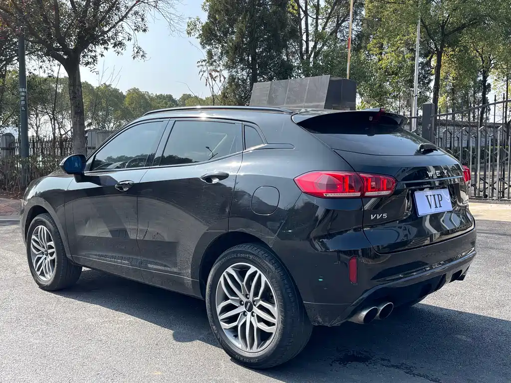 WEI PAI WEI BRAND VV5