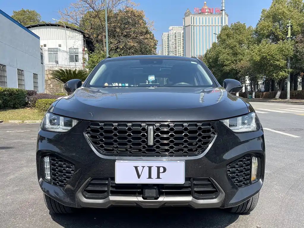 WEI PAI WEI BRAND VV5