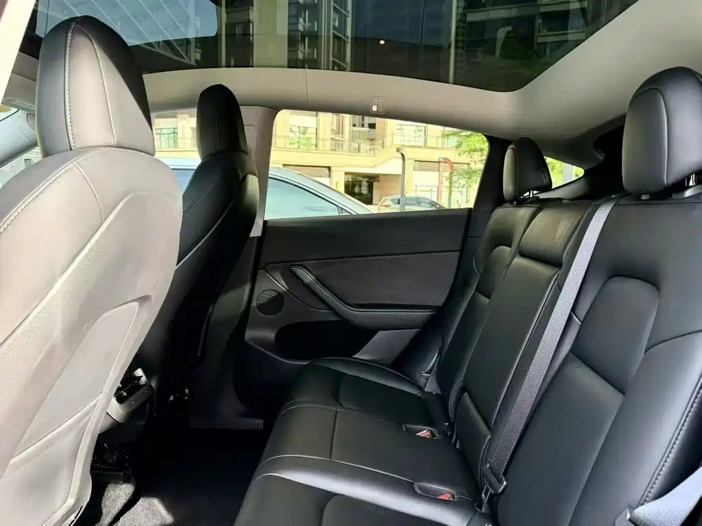 Tesla Model Y — миниатюра 11