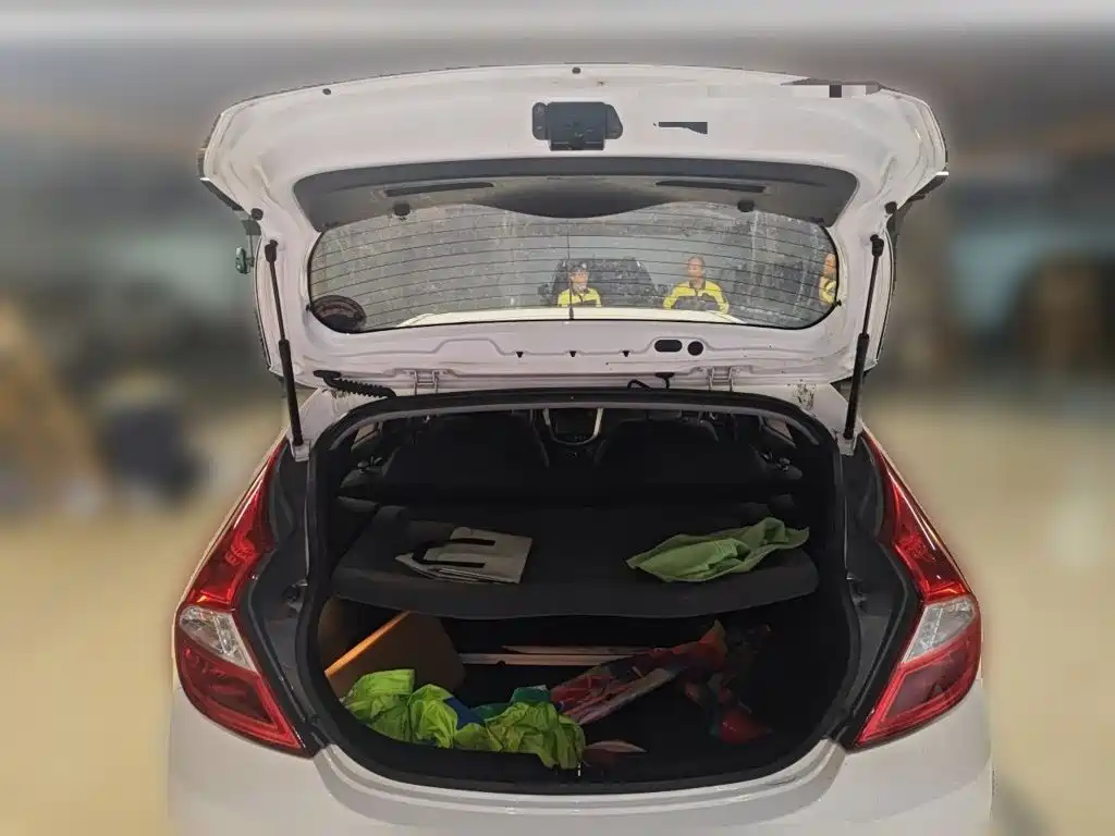 Hyundai Ruiyi — миниатюра 10