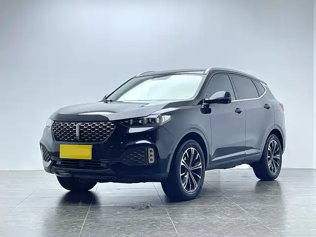 WEI PAI WEI BRAND VV6 2020