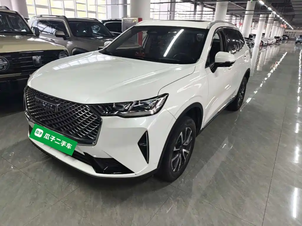 Haval H6 — миниатюра 2