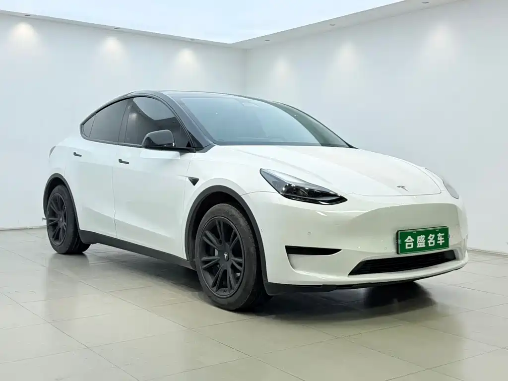 Tesla Model Y — миниатюра 3