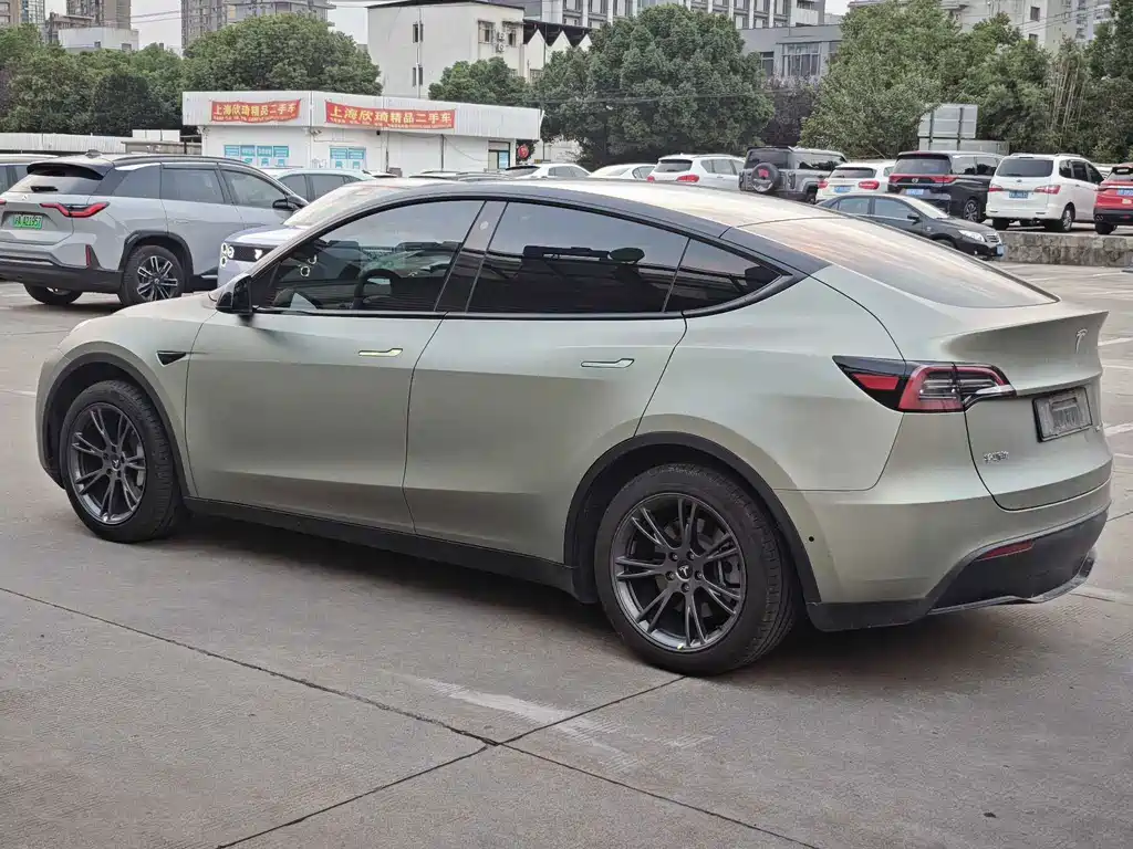 Tesla Model Y — миниатюра 13