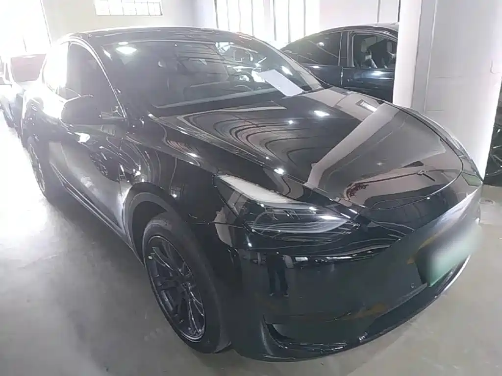 Tesla Model Y — миниатюра 4