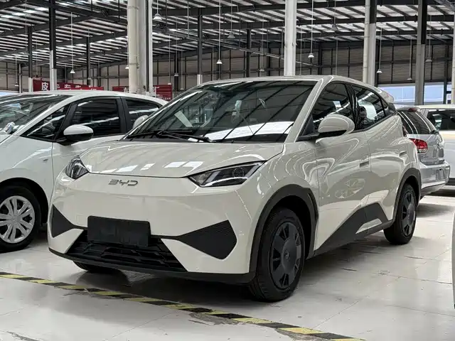 2026 BYD Seagull