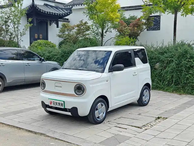 2023 Geely LC (Panda)