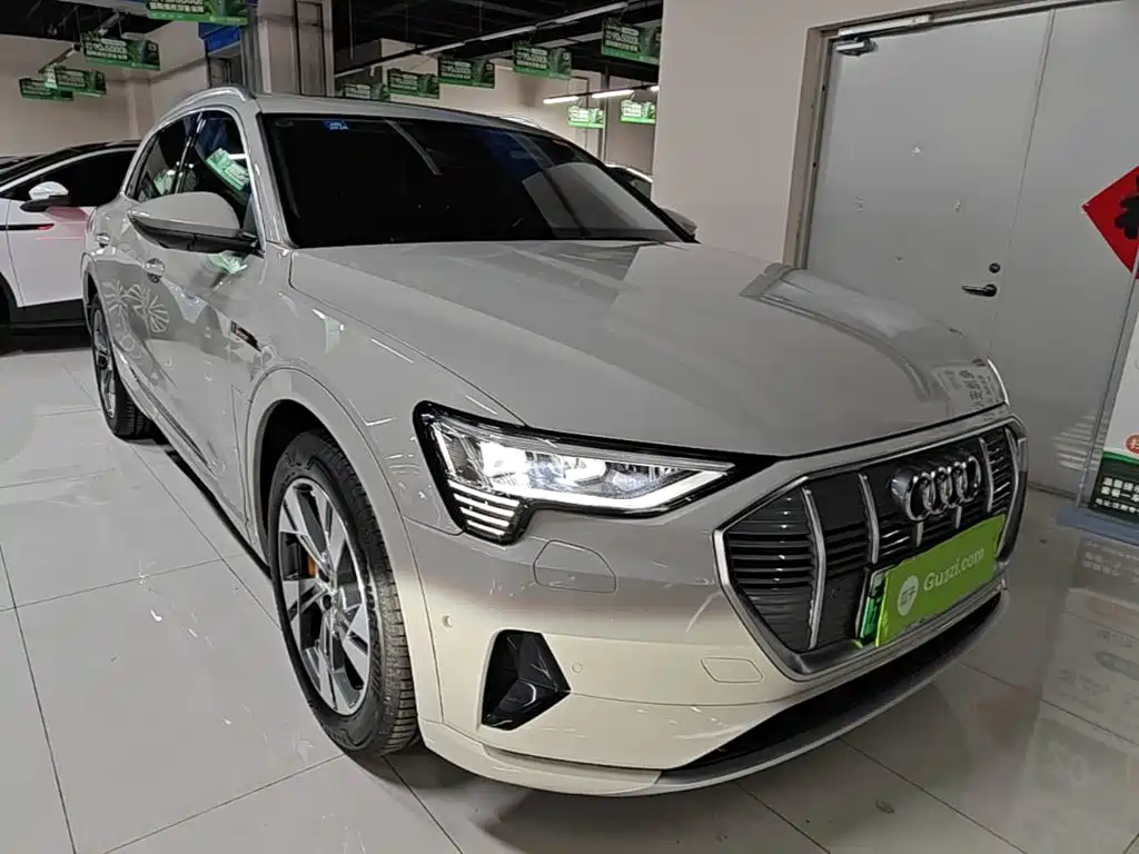 Audi e-tron (Import) — миниатюра 4
