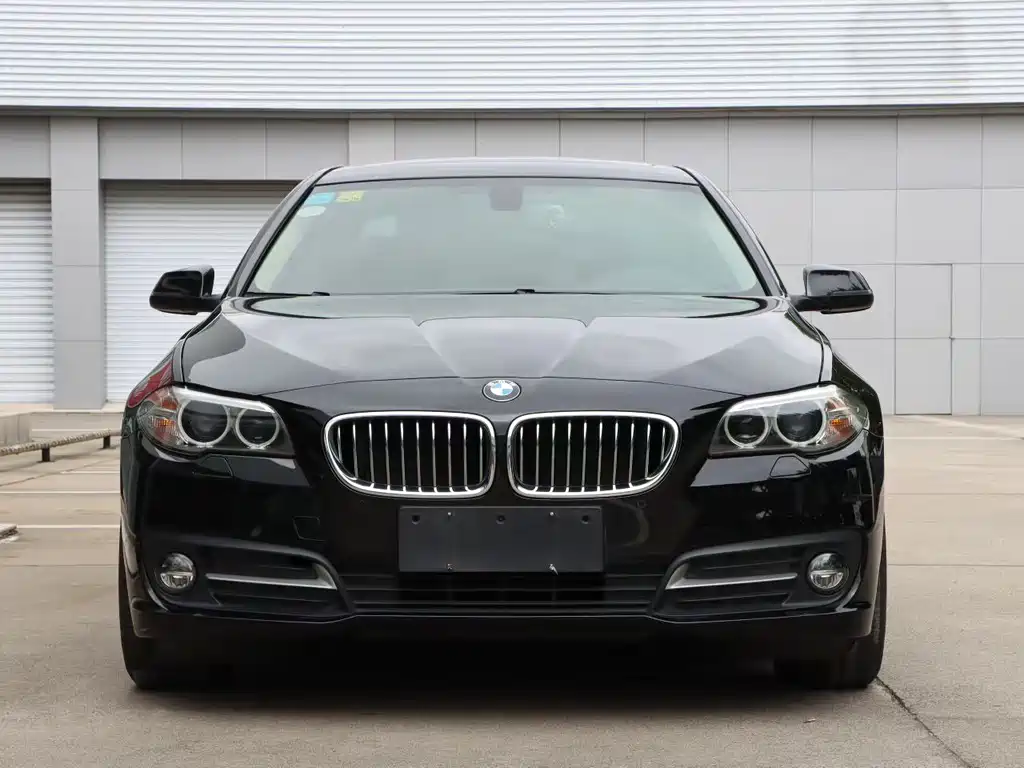 BMW 5 Series — миниатюра 2