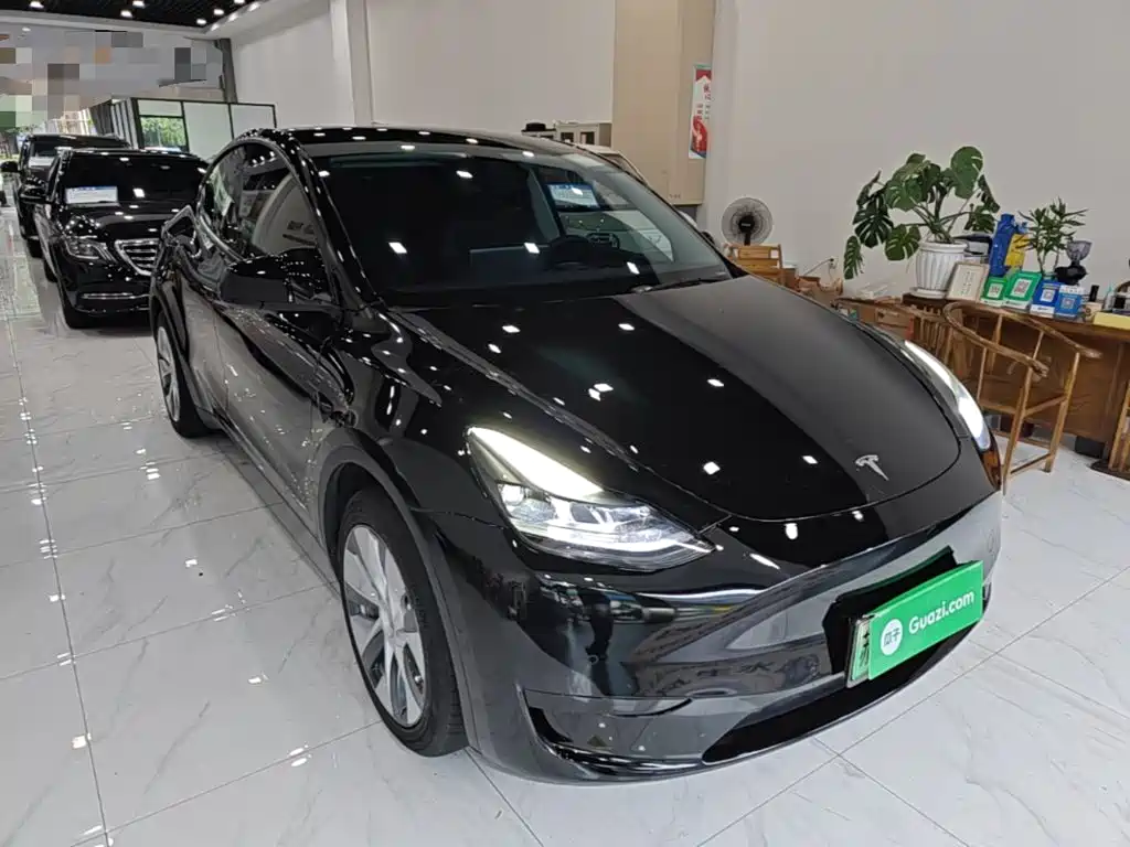 Tesla Model Y — миниатюра 4