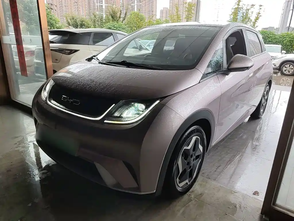 BYD Dolphin — миниатюра 2