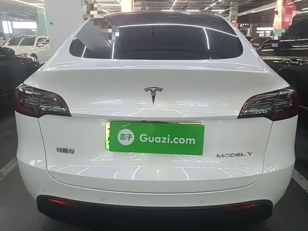 Tesla Model Y — миниатюра 6