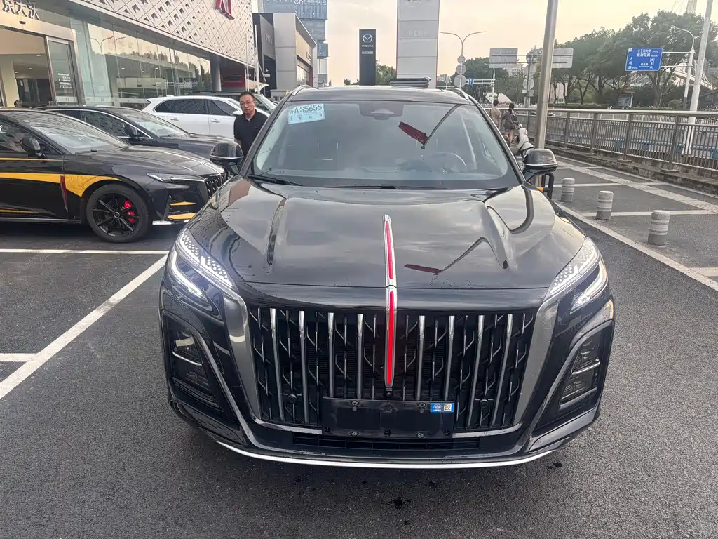 Hongqi Hongqi HS3 — миниатюра 7