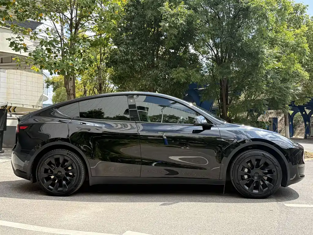 Tesla Model Y — миниатюра 4