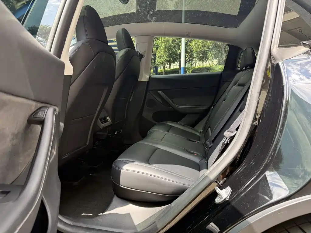 Tesla Model Y — миниатюра 6
