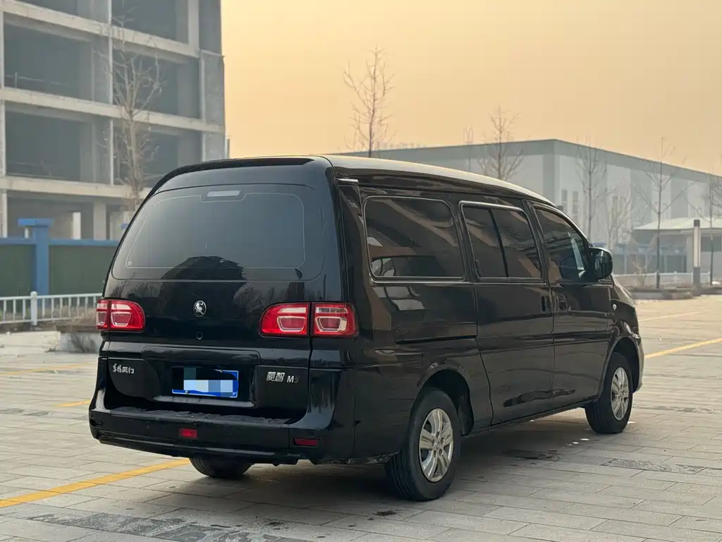 DONGFENG LINGZHI