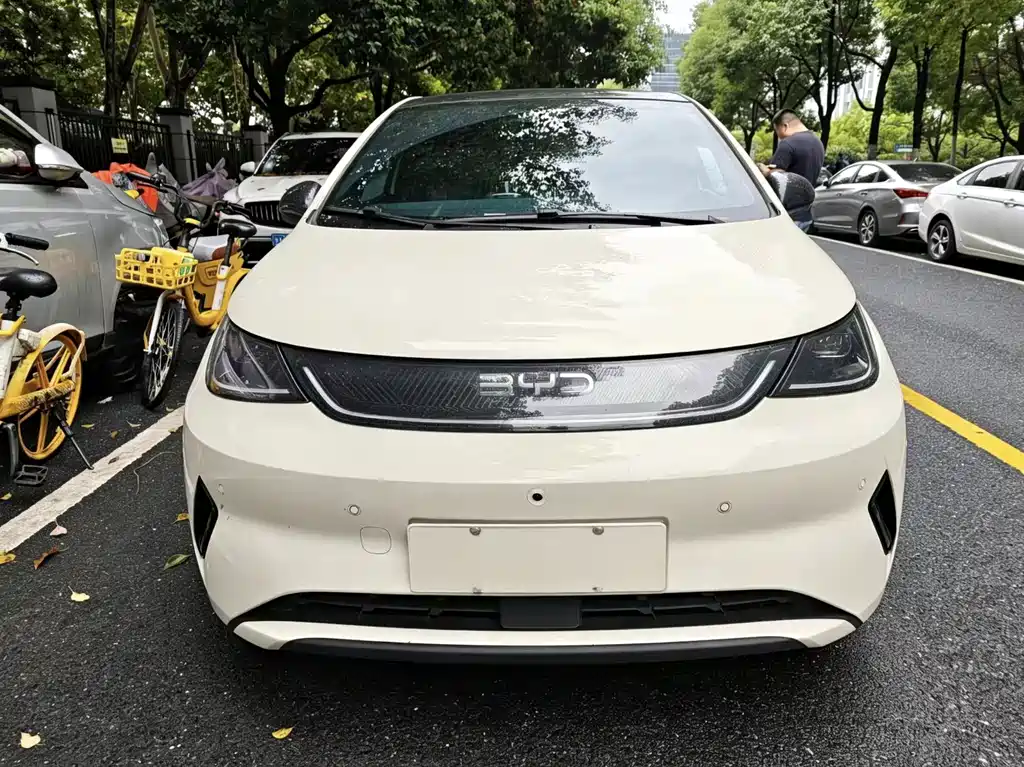 BYD Dolphin — миниатюра 2