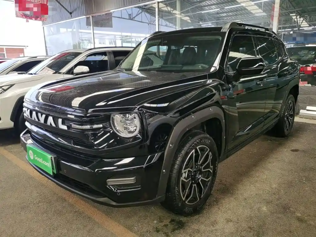 Haval 哈弗大狗 PLUS 新能源 2025
