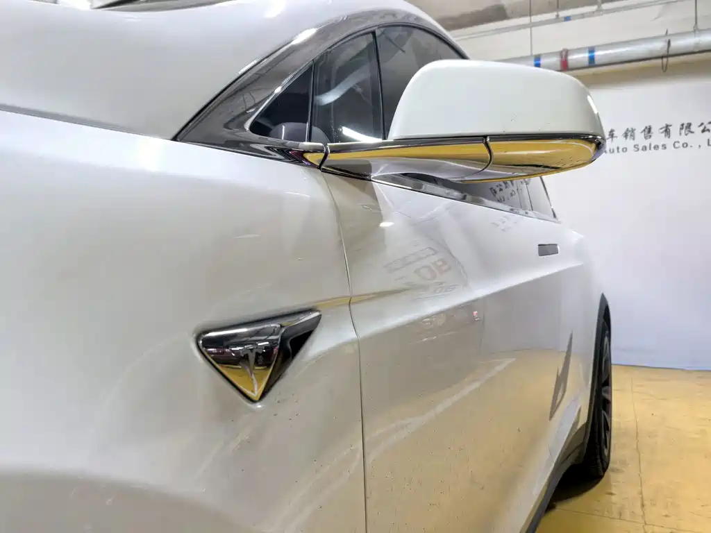 Tesla Model X — миниатюра 4