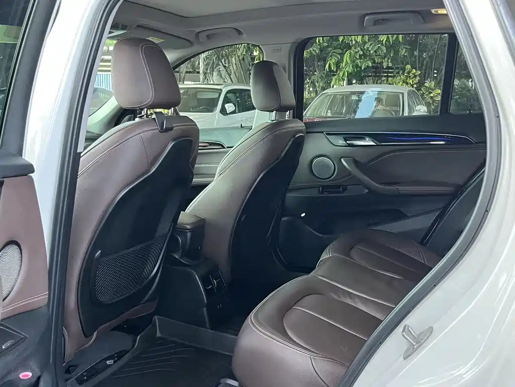 BMW X1 2019 xDrive25Le Luxury