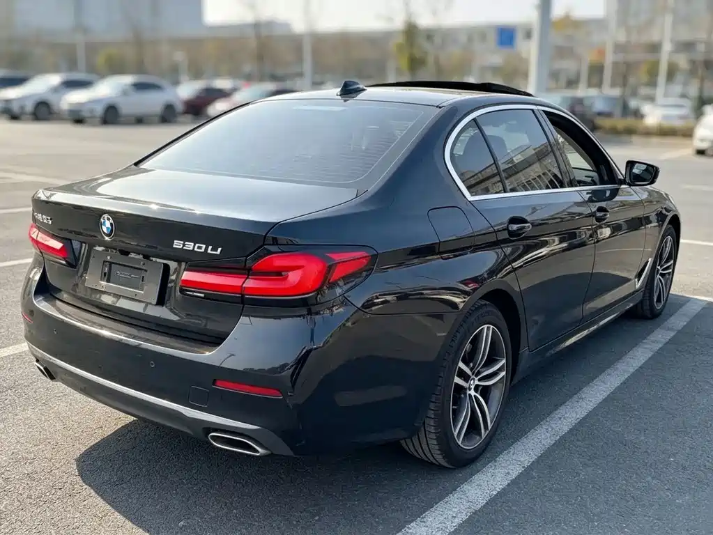BMW 5 Series — миниатюра 5