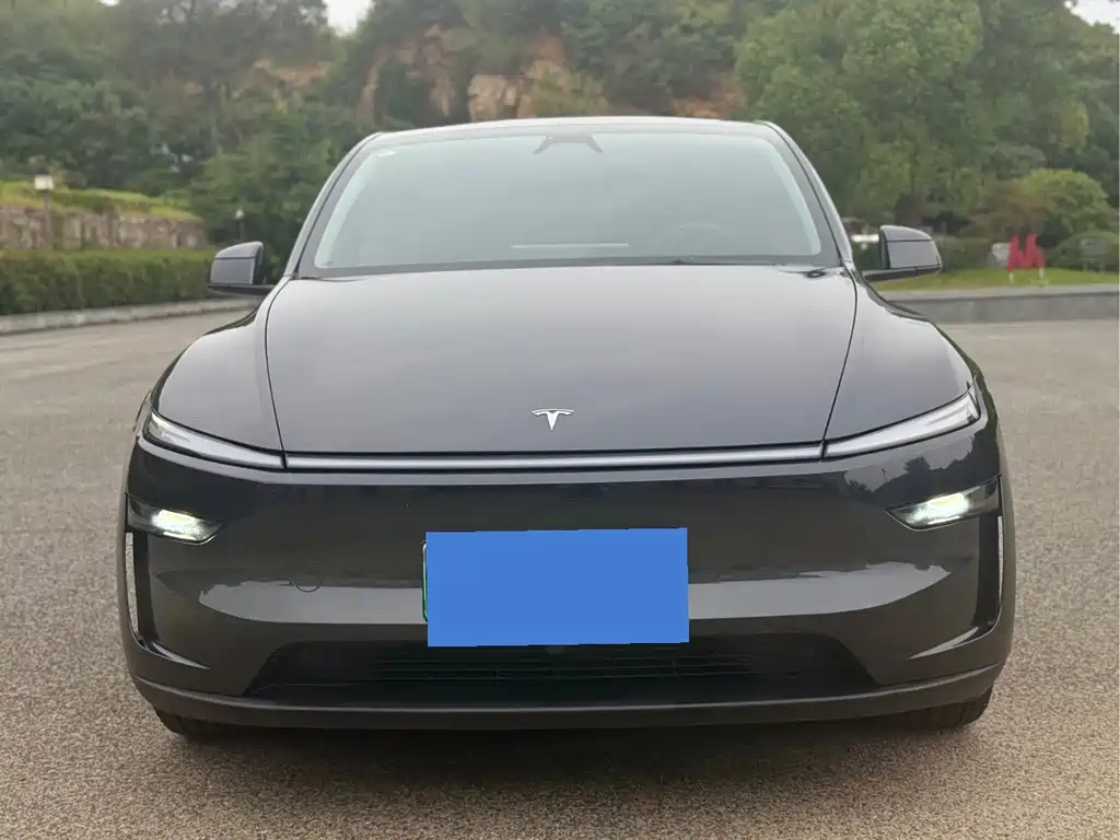 Tesla Model Y — миниатюра 3