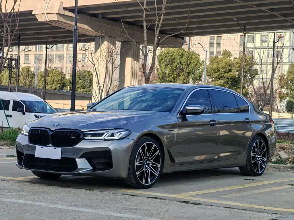 BMW 5 Series New Energy 2020