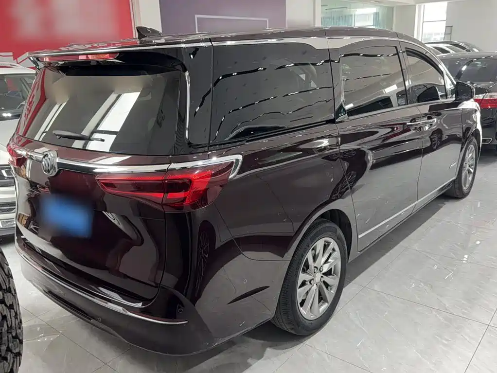 Buick GL8 — миниатюра 8