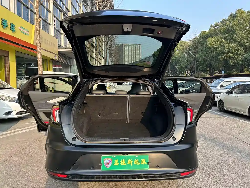 ARCFOX EXTREME FOX POLAR FOX ALPHA S