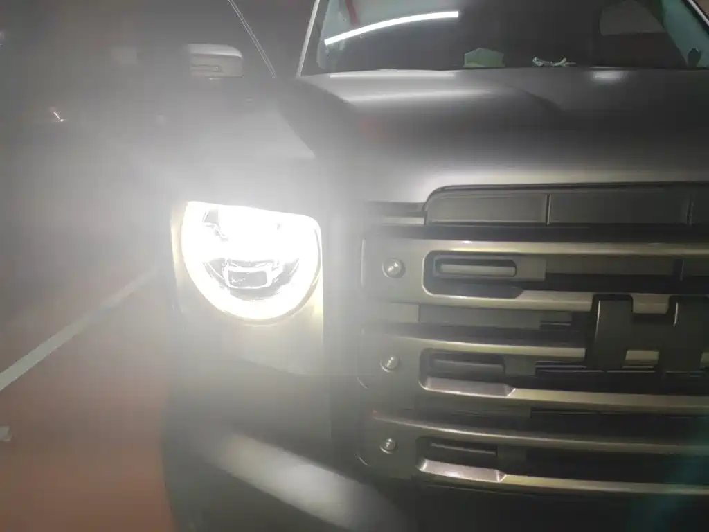 Haval Menglong New Energy — миниатюра 7