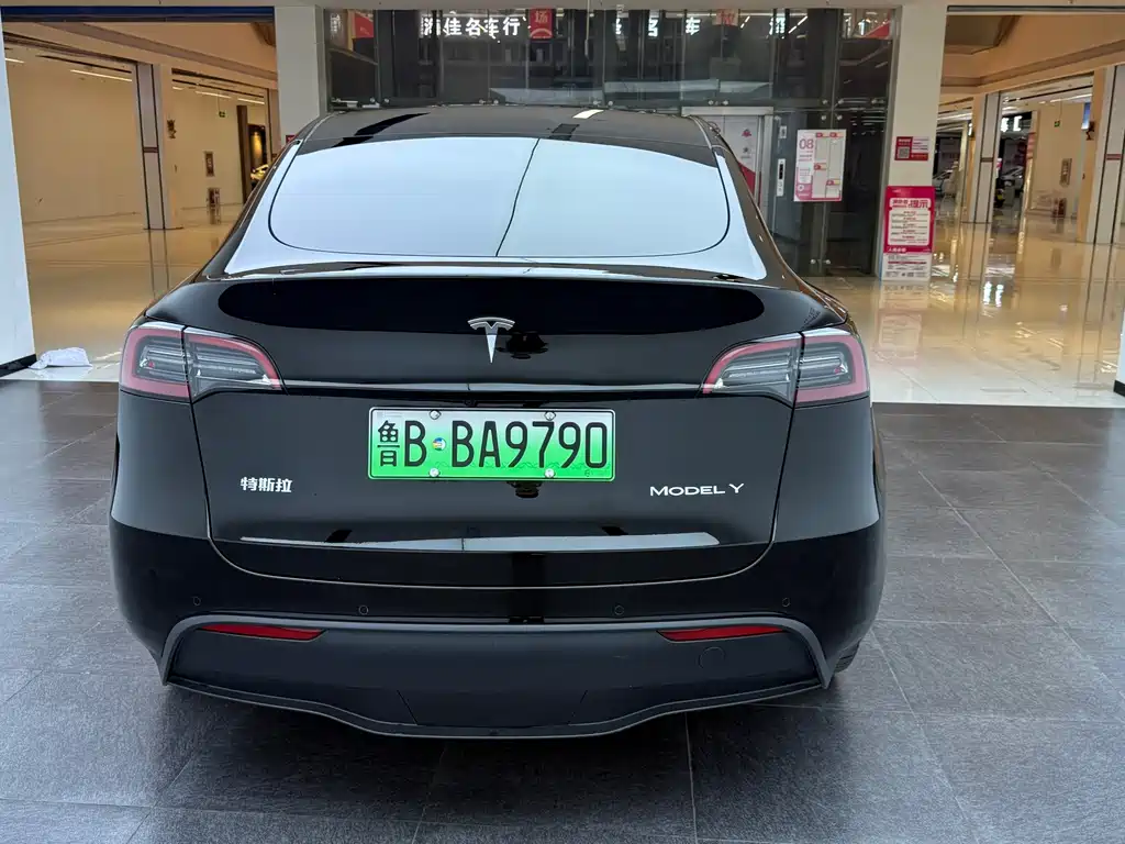 Tesla Model Y — миниатюра 9