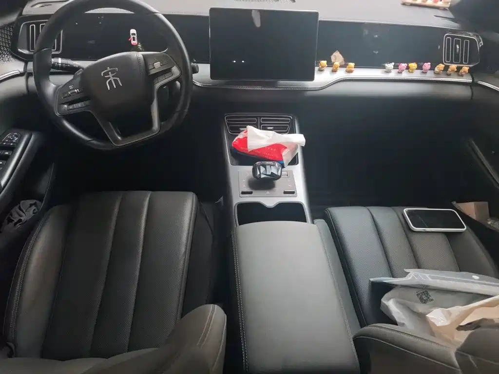 BYD Pro New Energy — миниатюра 10