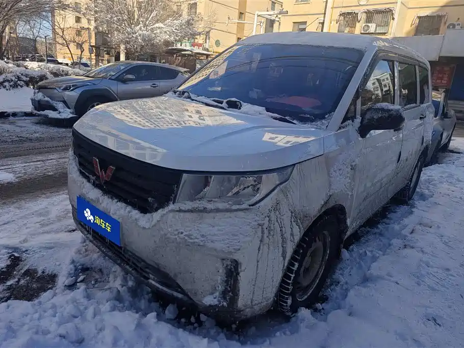 WULING WULING HONGGUANG PLUS