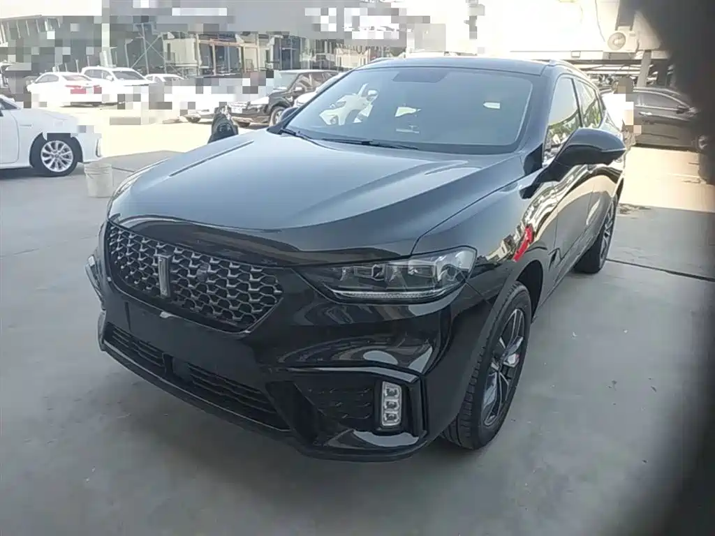 Wey Wey VV5 2020